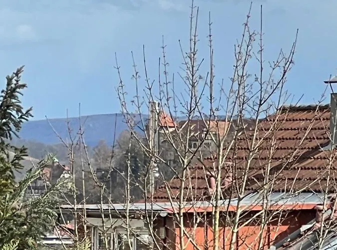 Casa Conte Tuebingen