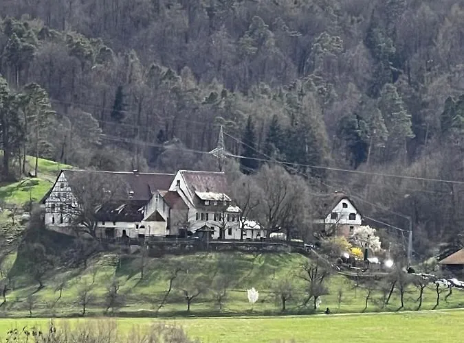 Apartment Casa Conte Tuebingen